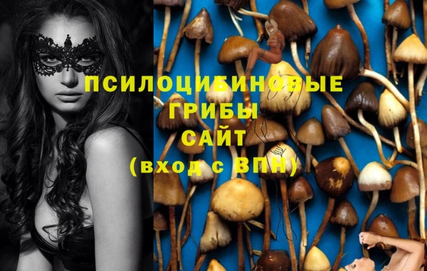 PSILOCYBIN Белокуриха