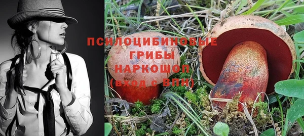 прущие грибы Белоозёрский