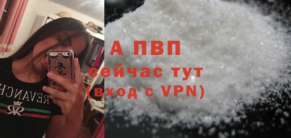 прущие грибы Белоозёрский