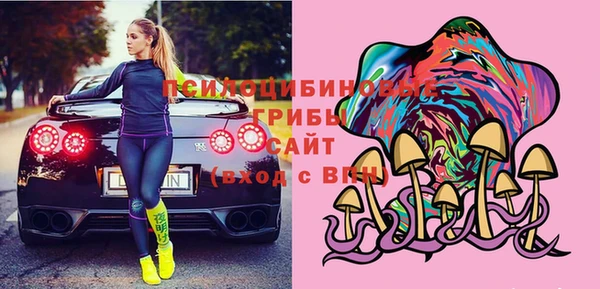 прущие грибы Белоозёрский
