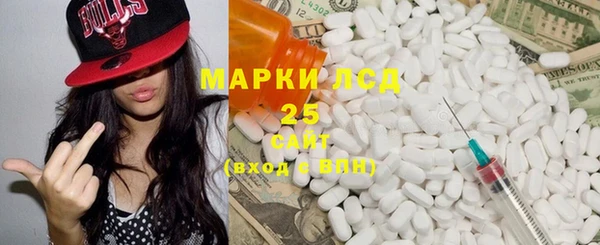 PSILOCYBIN Белокуриха