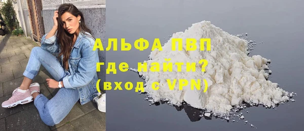 PSILOCYBIN Белокуриха